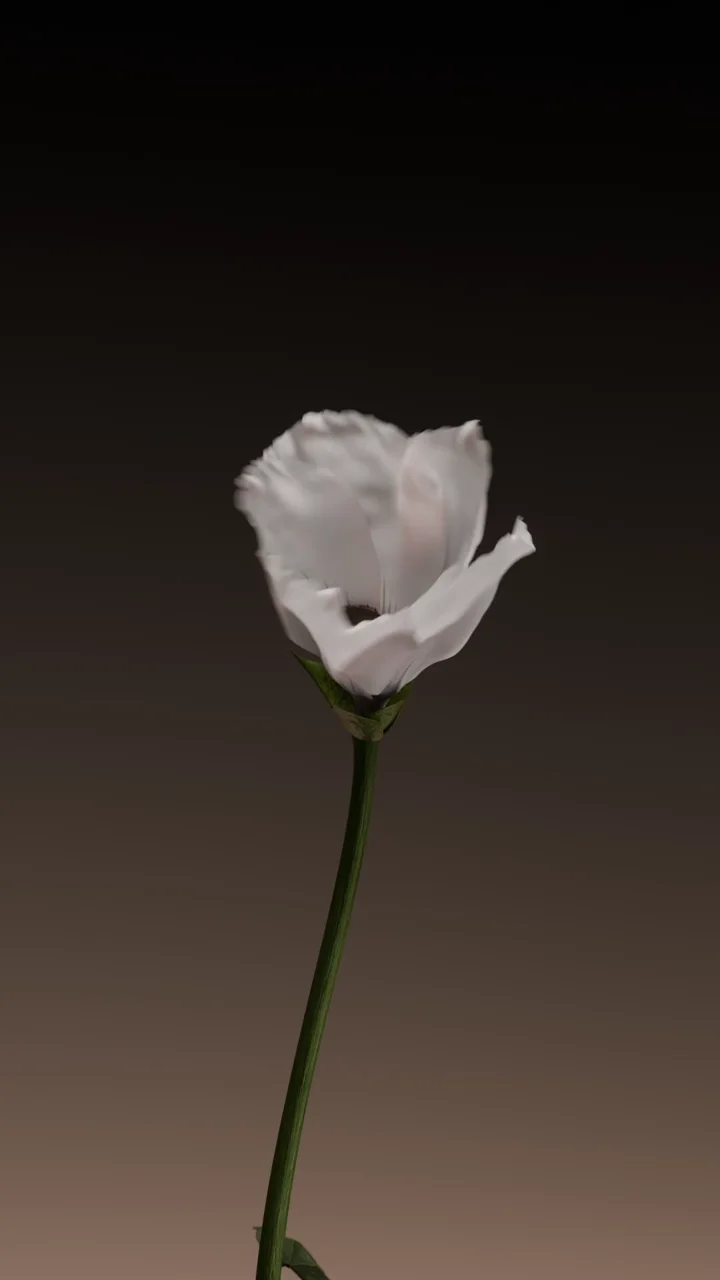 EMKA — 3D motion / full CGI